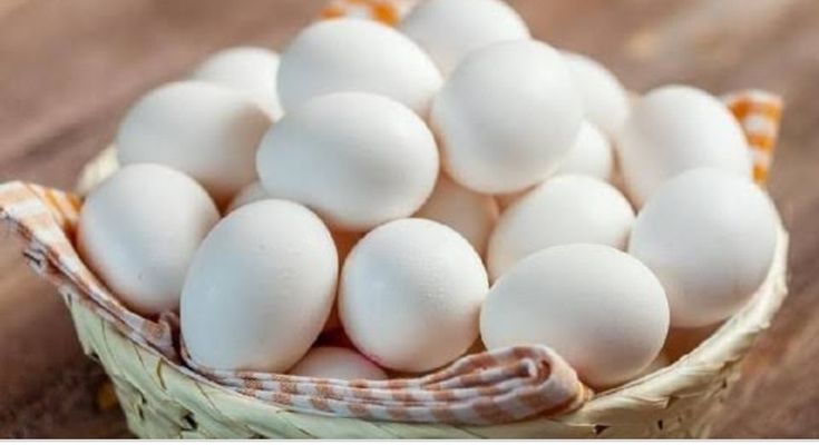 Telur Tetas Ayam Kampung Fertil Tinggi