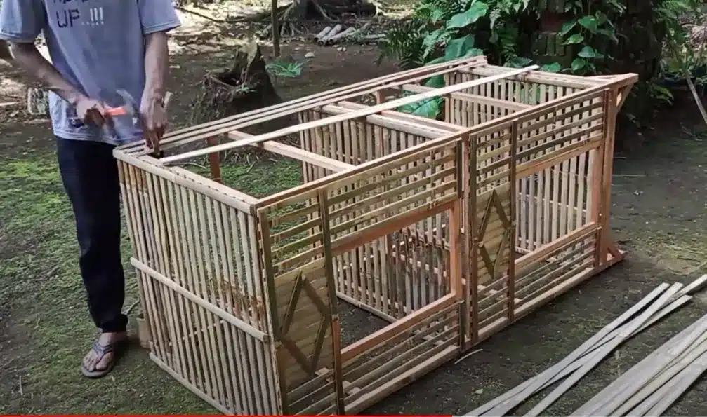  Jasa Pembuatan Kandang Ayam Kampung Sederhana